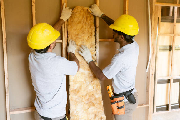Best Professional Insulation Contractor  in Mccoll, SC