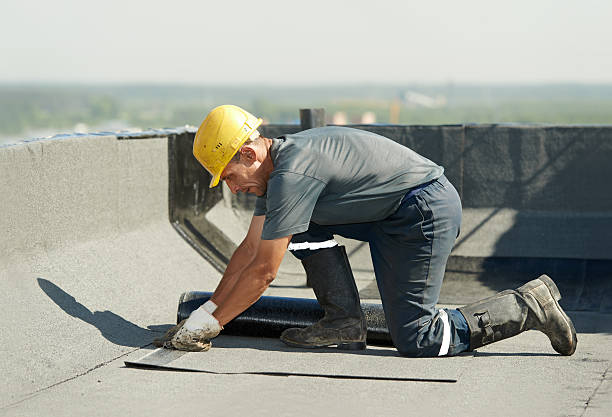 Best Insulation Removal  in Mccoll, SC